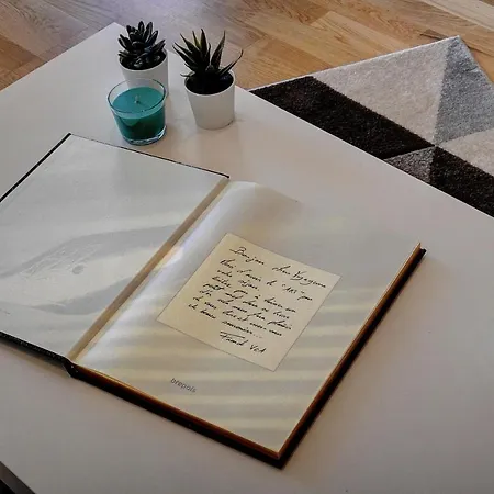 Le Art - 500m Des Plages - Clim - Verrière Côte D'azur *